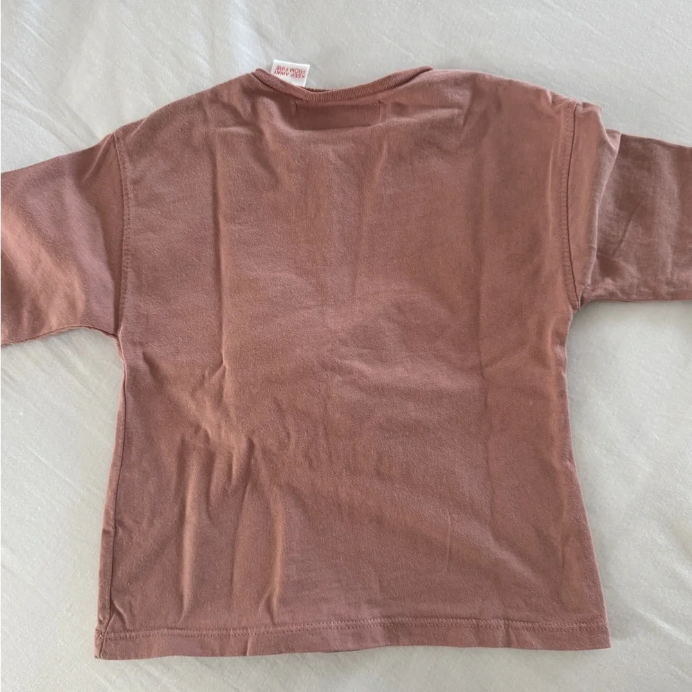 Zara Toddler Girls Long Sleeve Dotted Mesh Butterfly Appliqué Shirt Size 3